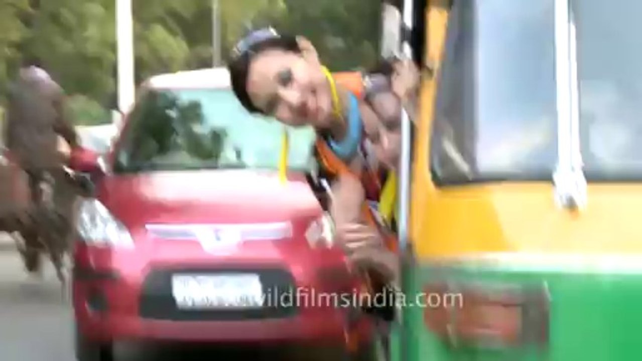 Tetseos in an auto rickshaw-2