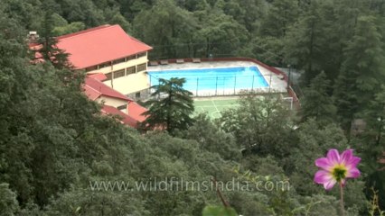 Woodstock-swimming pool-11