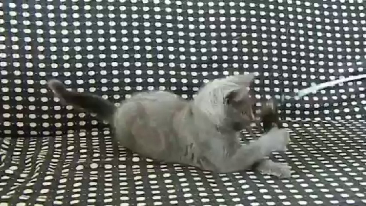 Inzo des Rives d'Estaing