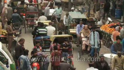 Chandini-Chowk-Zeenat-Mahal-12