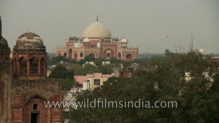 Humayun Tomb-Traffic-2