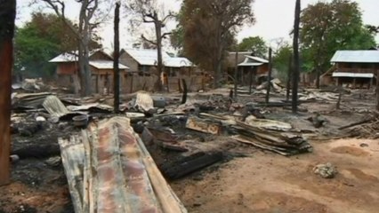 Myanmar Buddhists attack Muslim village