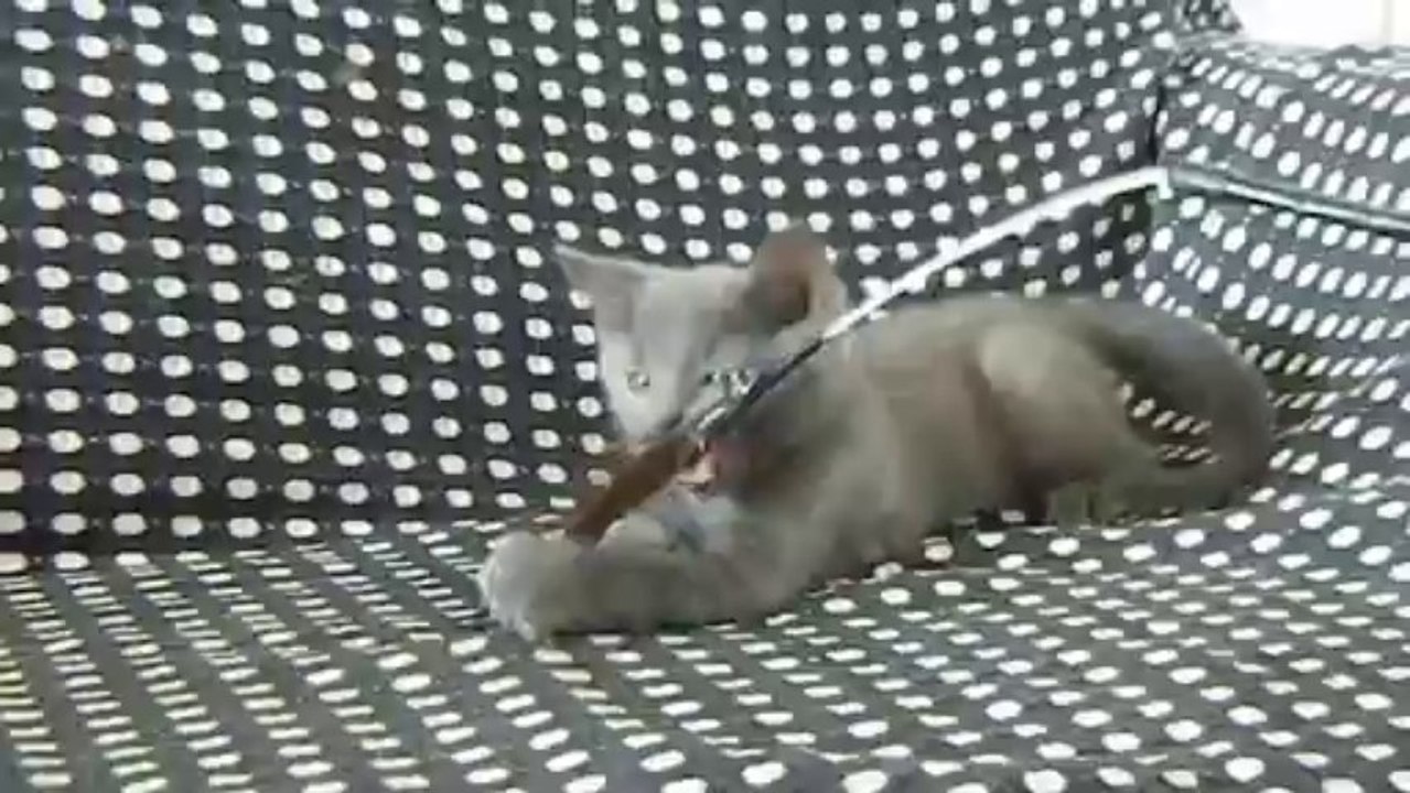 Ivoire des Rives d'Estaing