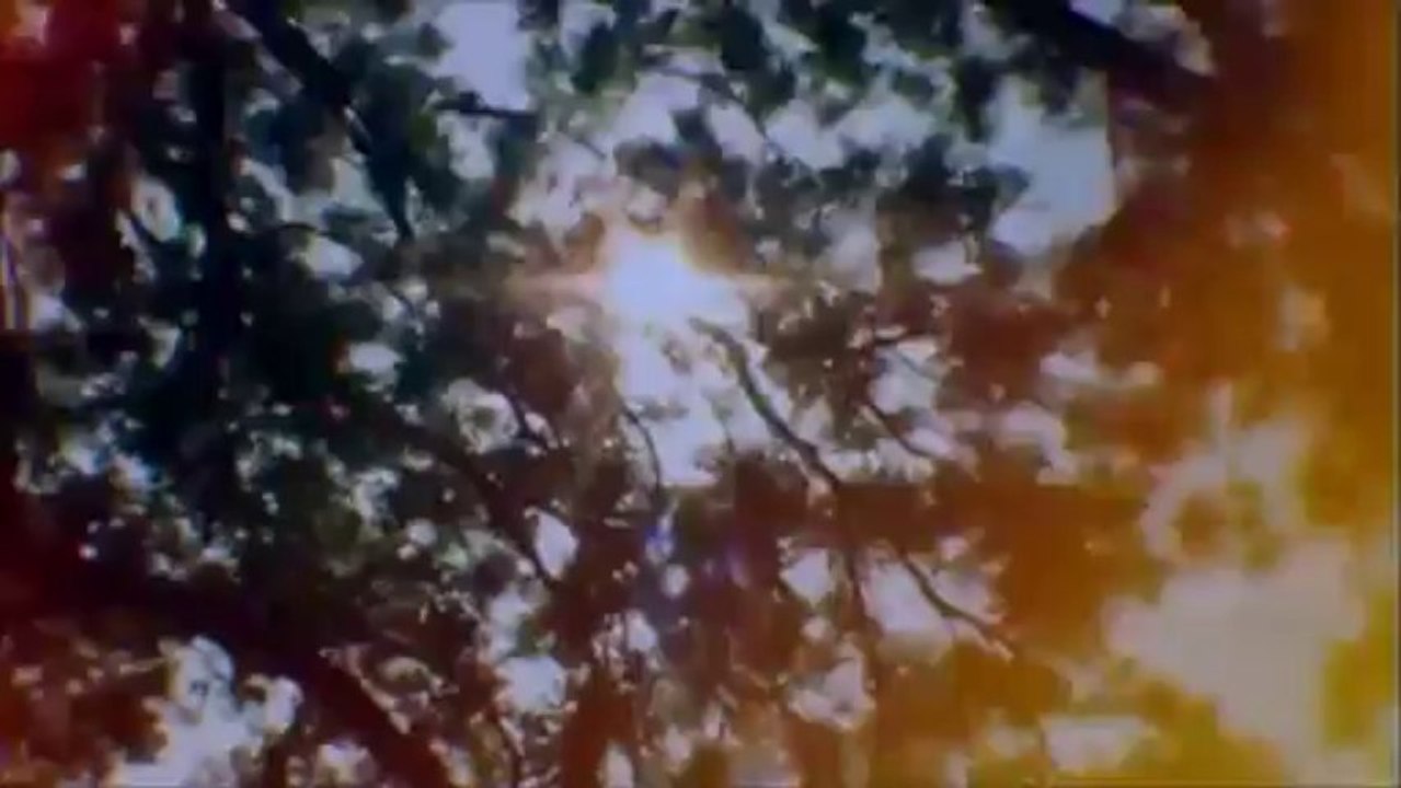 Edward Sharpe and the Magnetic Zeros - Home (Big Easy Express)