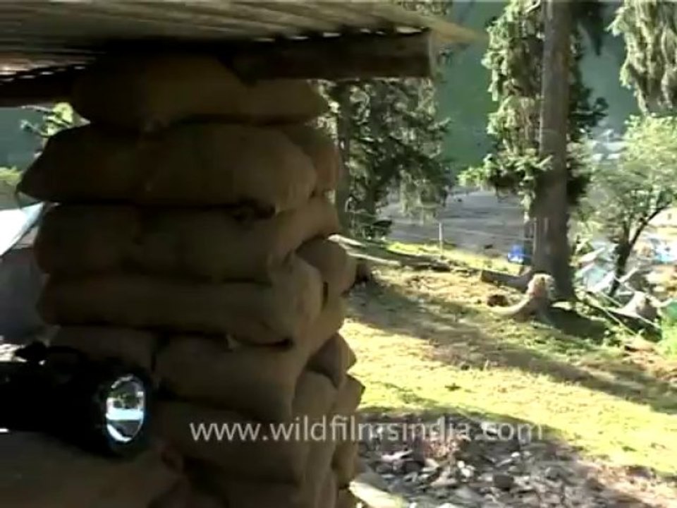 DVD-69-j&k-amarnath-5-1