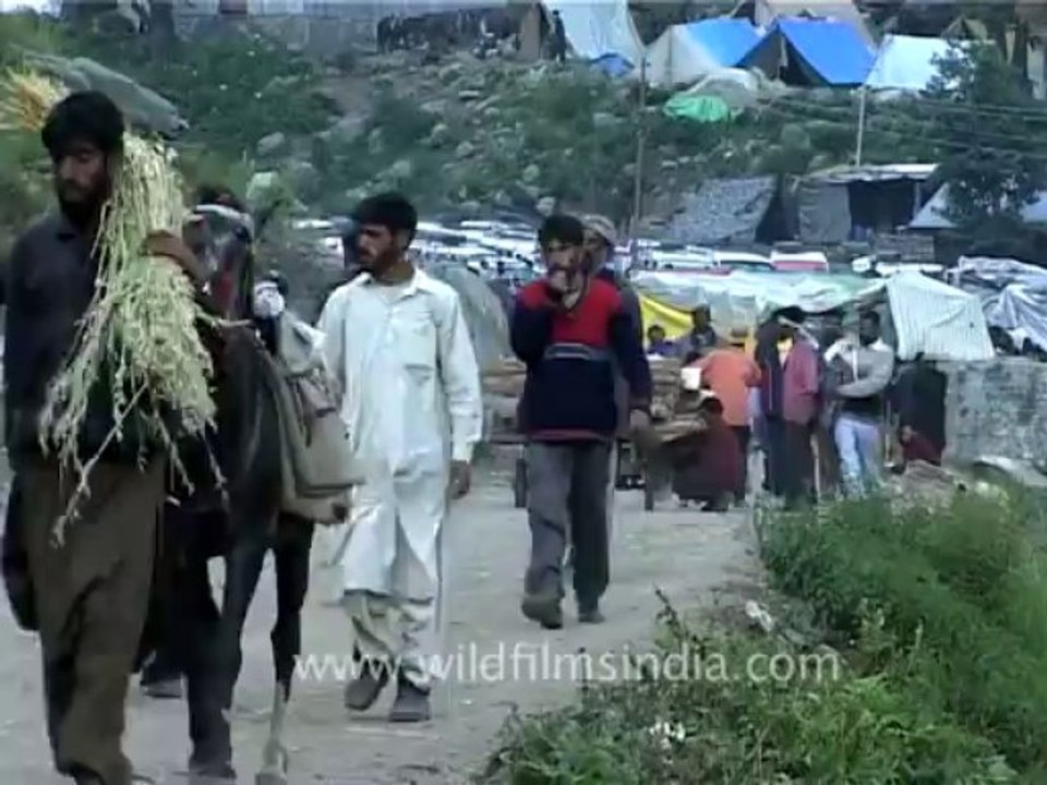 DVD-69-j&k-amarnath-5-6