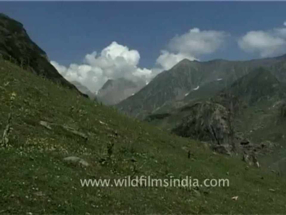 DVD-70-Landscape-misc-2-3