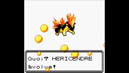 Wt Pokémon or #2 des chétiflors un badges et un feurisson