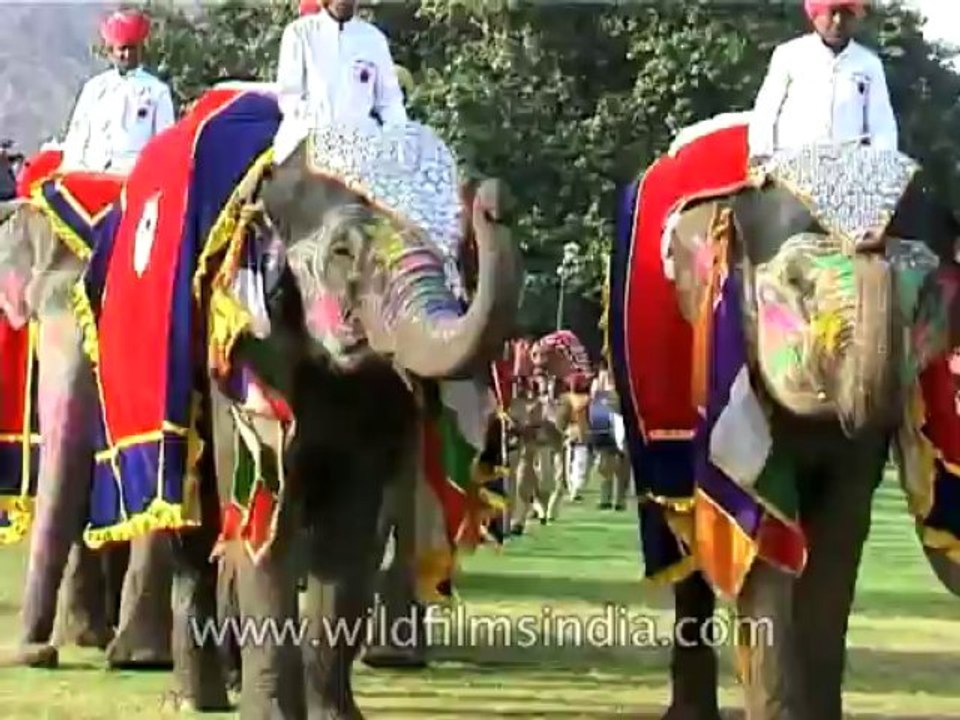 Festivals-DVD-95-4
