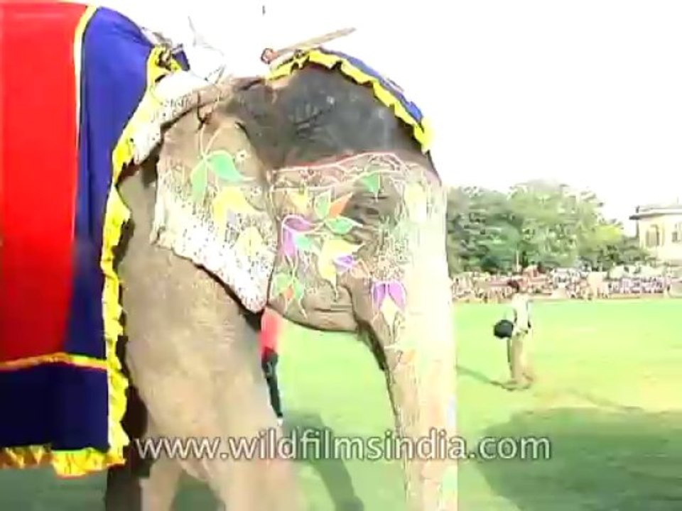 Festivals-DVD-95-7