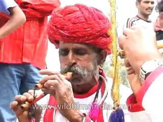 Festivals-Elephant-DVD-95-35