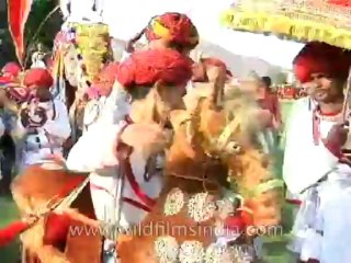 Festivals-holi-DVD-95-1