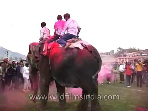 Festivals-Holi-DVD-95-19