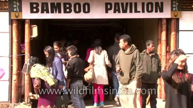 Hornbill Festival-North East-Bamboo Pavilion-Stall-Tape-19-16