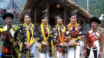 Hornbill festival-Tetseo sisters-card 40-Song-5