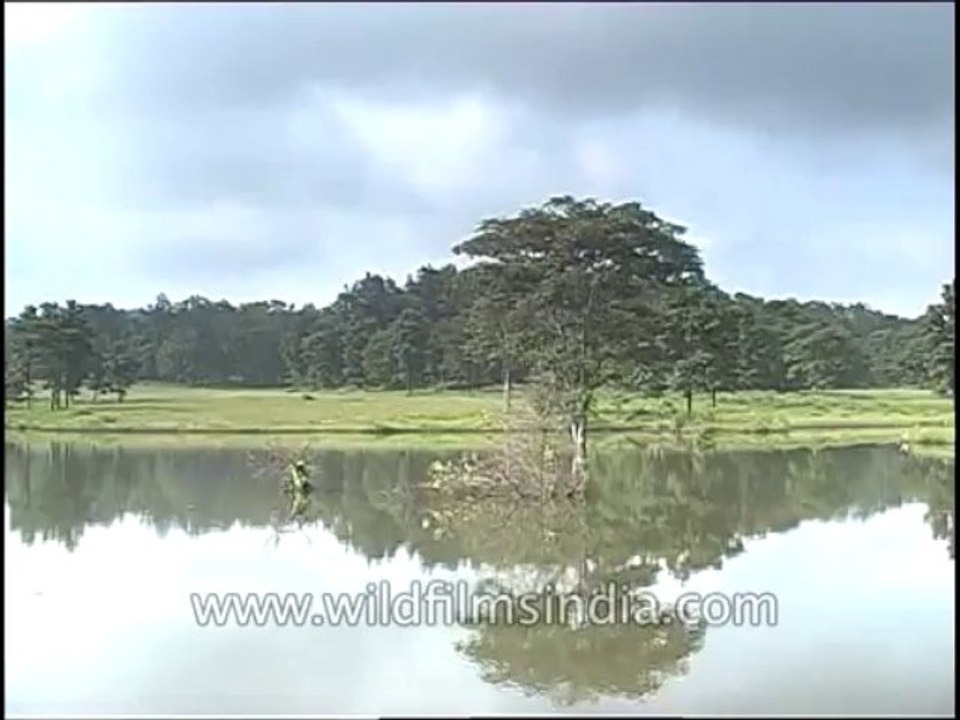 MP-Kanha-DVD-81-2