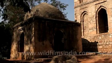 Munda Gumbad-7