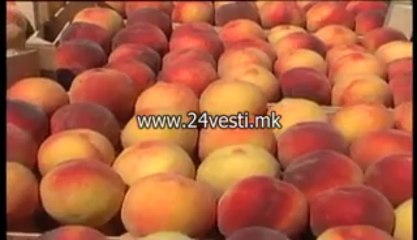 SRBIJA SO KONTRA MERKI