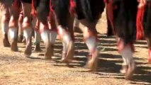 Nagaland-hornbill festival-Sumi tribe-folk dance Aphilo Kuwa-6