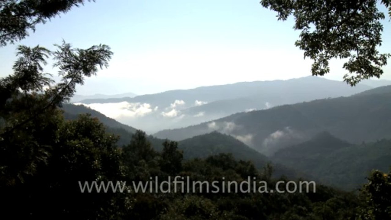 Nagaland-nature-1