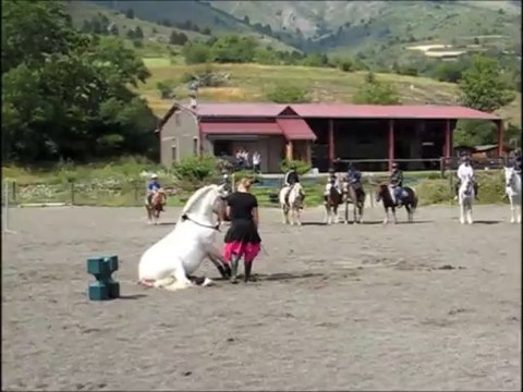 Gipsy King et Loustic, spectacle aux sabots de vénus