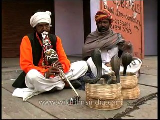 Rajasthan-jaipur-dvd-97-3