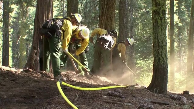 Les pompiers se battent pour sauver les séquoias de Yosemite
