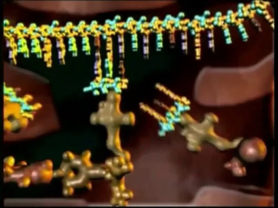 Doc. Incroyable Les scientifiques admettent l'existence d'un créateur face à la complexité de la Vie