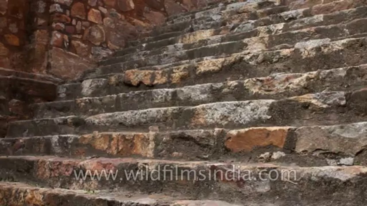 Sec-5-RK-Puram-Baoli-27