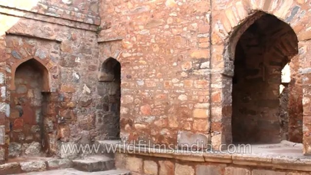 Sec-5-RK-Puram-Baoli-5