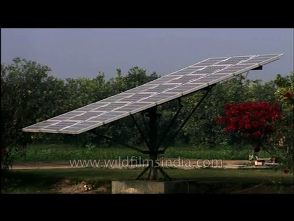 Solar plant-abhor-4