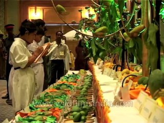 Delhi-Mango-Festival-Dvd-141-3