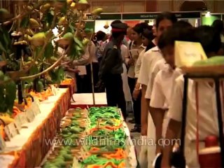 Delhi-Mango-Festival-Dvd-141-5