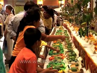 Delhi-Mango-Festival-Dvd-141-6