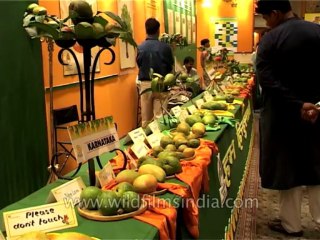 Delhi-Mango-Festival-Dvd-141-8