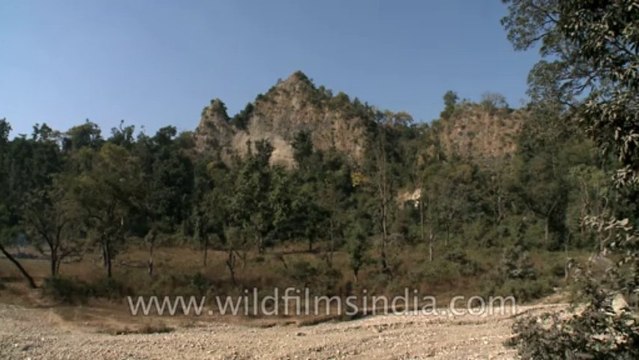 Rajaji-National-Park-2