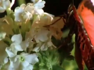 CHUYÊN THU MUA MÁY GIẶT CŨ,HỎNG GIÁ CAO