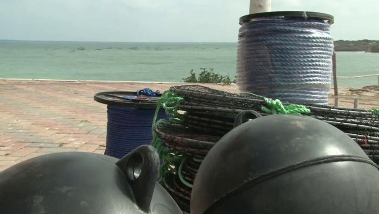 MAGAP entrega materiales a pescadores artesanales para desarrollo de cultivo de ostras