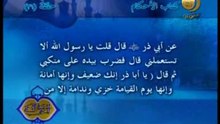 31 - كتاب الاحكام _ المناهي في السنة