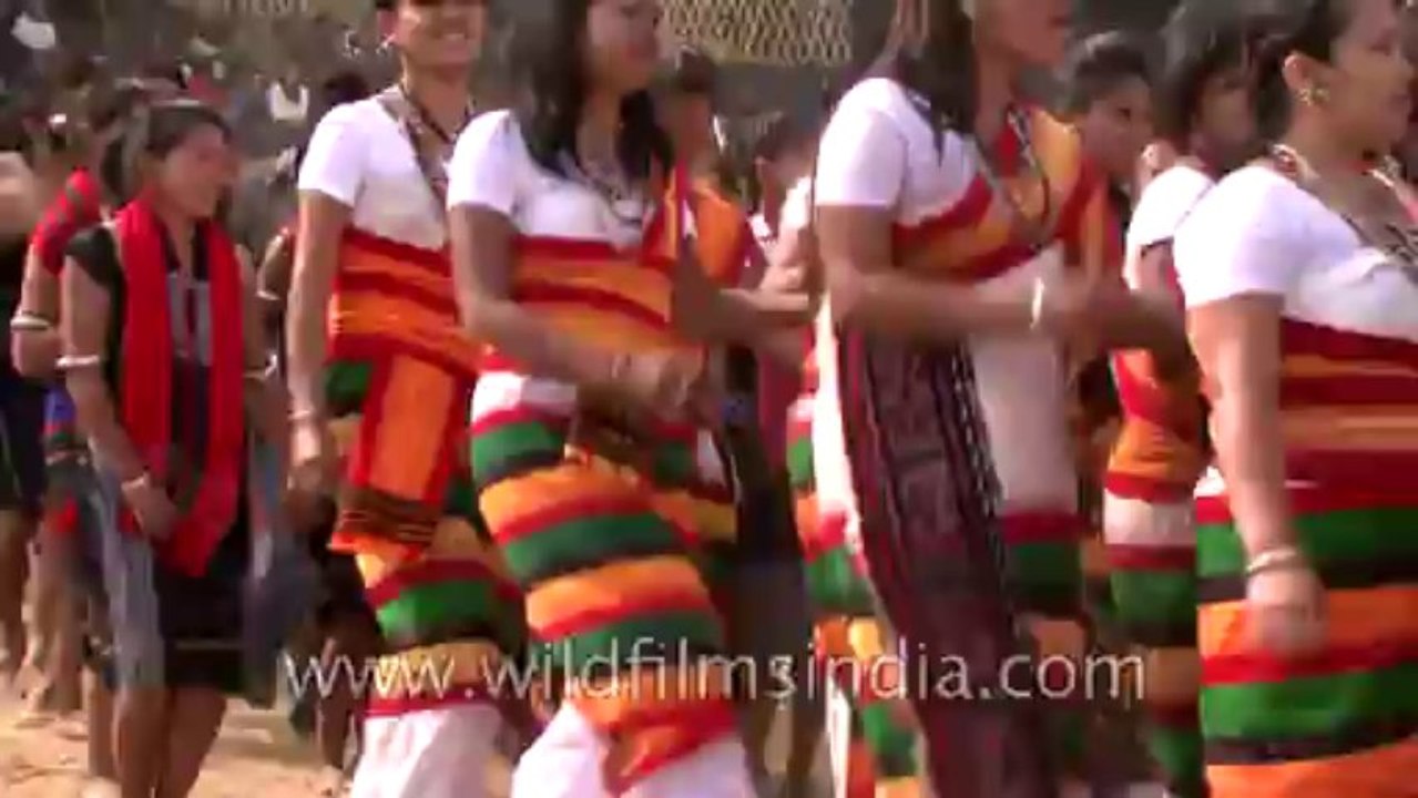 Hornbill Festival-North East-Tape-19-12