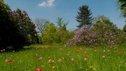 Repas de printemps 2013