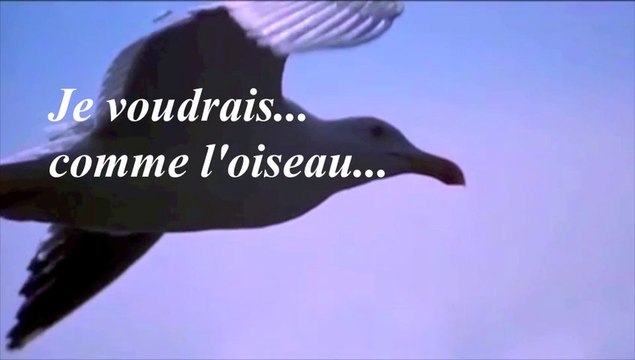 JE VOUDRAIS COMME L'OISEAU:MONTAGE-TEXTE-VOIX RENÉE-FRANCE BOURDARIE-GHARBI