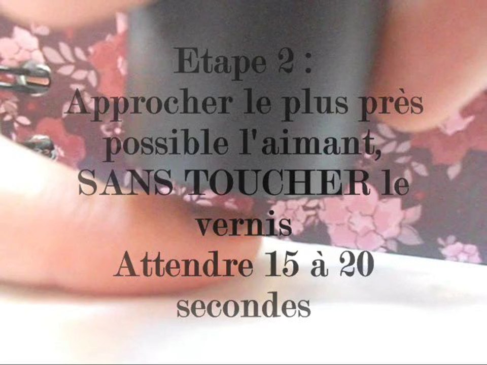 Vernis Magntique