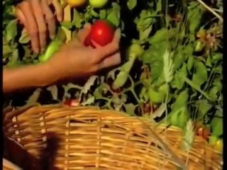 Permaculture, le jardin d'Emilia Hazelip
