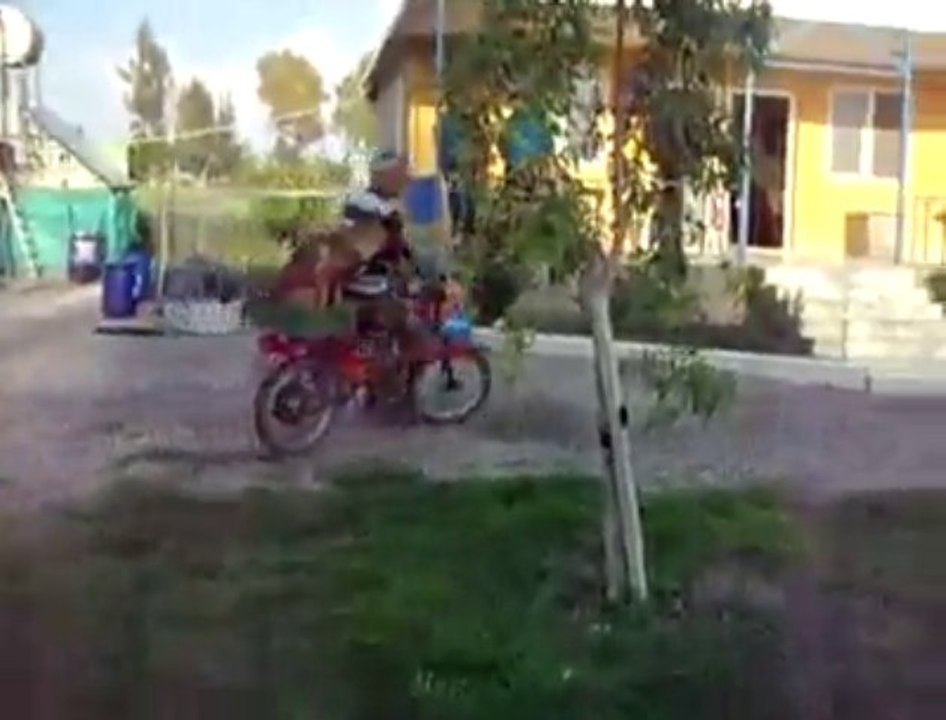 MOTOR SEFASI