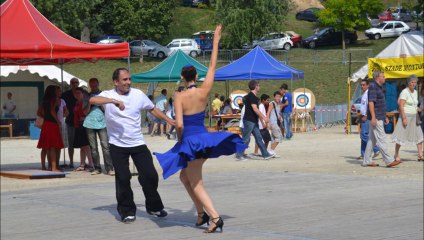 salsa forum     2011