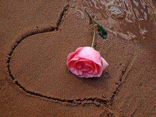 Sevda büyüsü gibisin FİRUZE - Tarkan