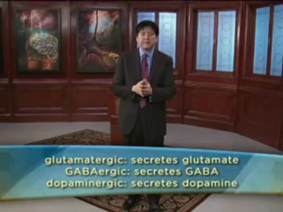 05 - Neurotransmitters and Drugs