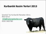 Kurbanlık Kesim Yerleri 2015 Danışma 0535 3573503, istanbul kurbanlık yerleri, istanbulda kurbanlık,