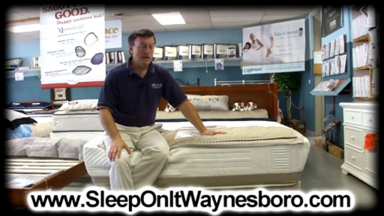 Mattress Store Charlottesville VA | Flare Bed-Sleep On It